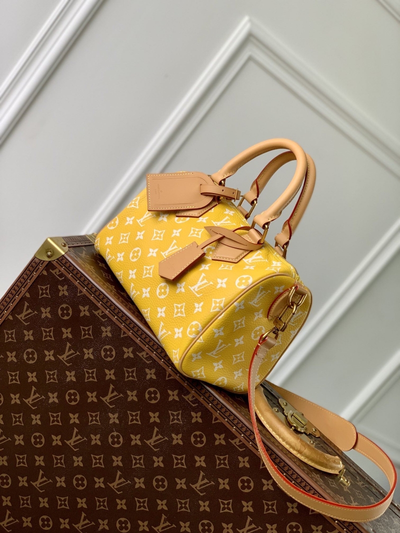 LV Travel Bags